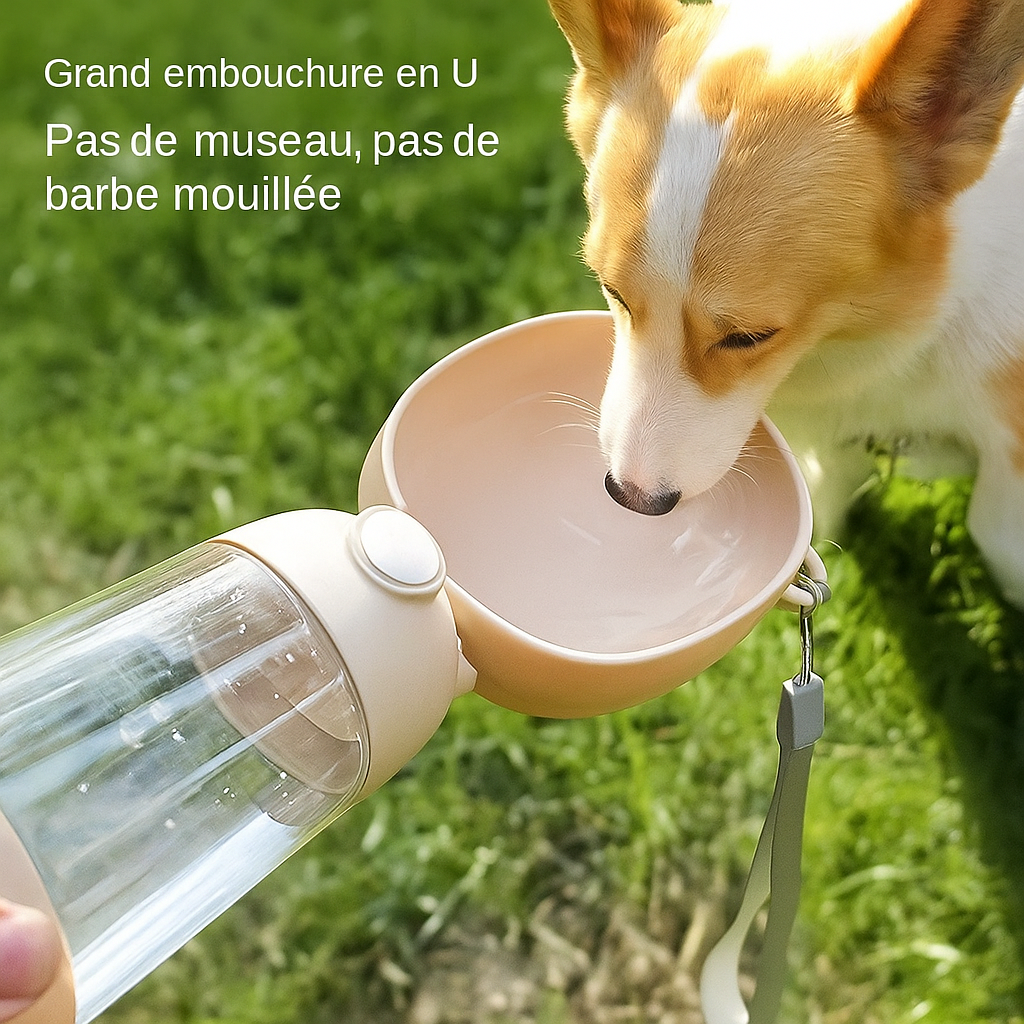 Gourde pour chien portable